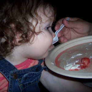 20090628_strawberry_shortcake