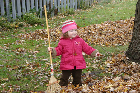 20091101_raking