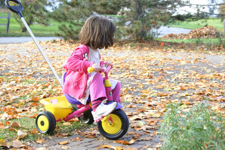 20091114_tricycle