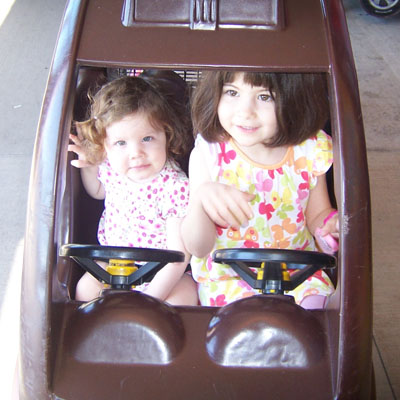 20090903_car_cart