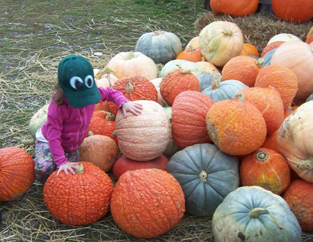 20071002_pumpkins.jpg