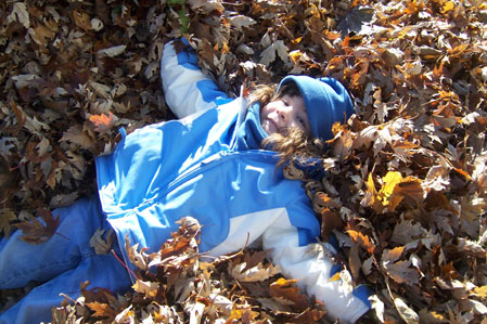 20071125_leaves.jpg