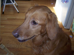 20060605_molly.jpg