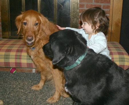 20060129_doggies.jpg