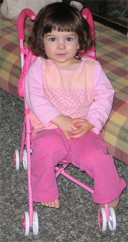 20060523_doll_stroller.jpg