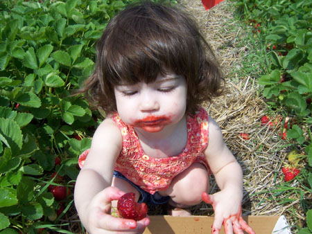 20060629_strawberries.jpg