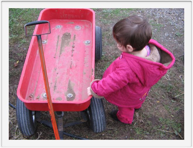 Little Red Wagon