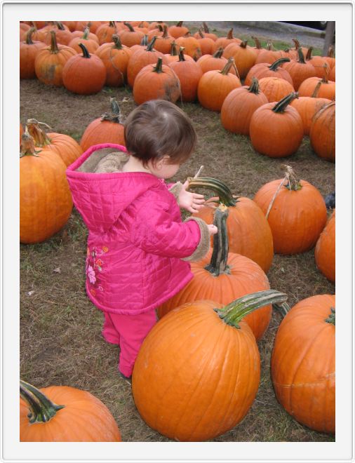 In The Pumpkin Patch