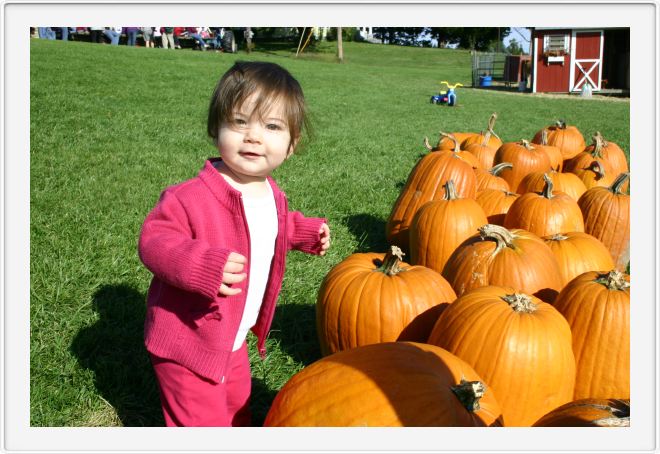 Pumpkin Patch