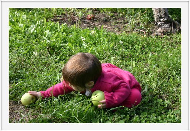 Yoga Meets Apple Picking