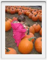 In The Pumpkin Patch