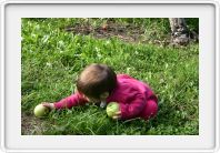 Yoga Meets Apple Picking