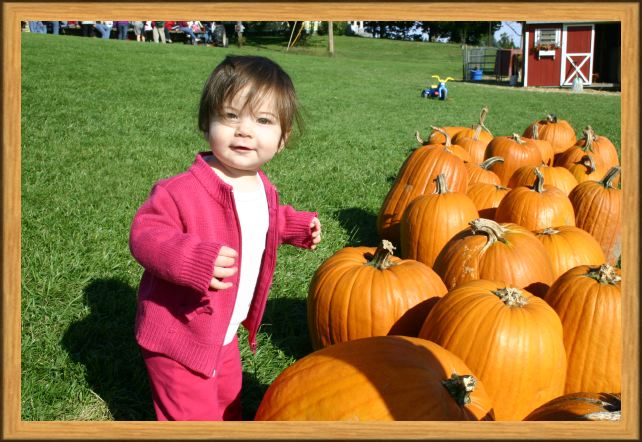 Pumpkin Patch