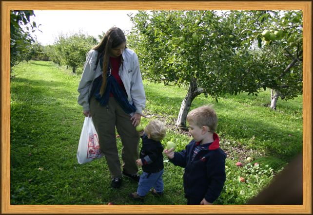 Here, Mom, Have An Apple