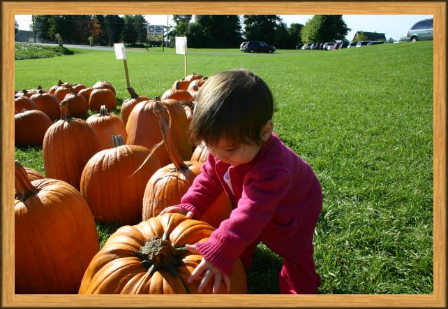 Look!  It's The Great Pumpkin!