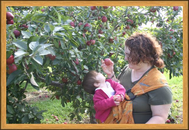 A Carrie-Sized Apple