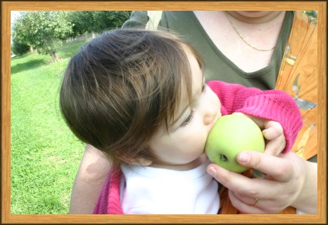 Mmm, Tasty Apple