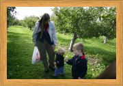 Here, Mom, Have An Apple