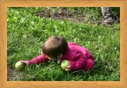 Yoga Meets Apple Picking