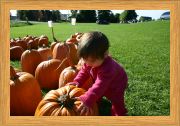 Look!  It's The Great Pumpkin!